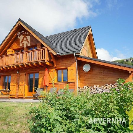 Chalet De Solene Villa Chambon-sur-Lac Dış mekan fotoğraf