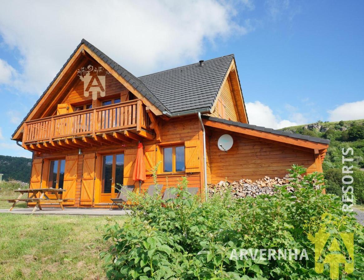 Chalet De Solene Villa Chambon-sur-Lac Dış mekan fotoğraf